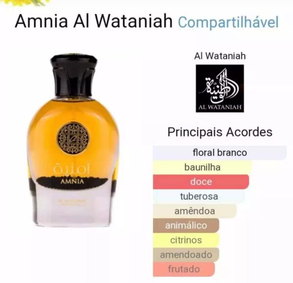 Amnia Al Wataniah – 100ml